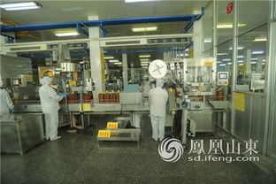 科技與誠信成為魯花騰飛發展的兩只 翅膀